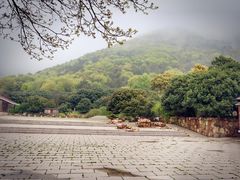 -宝岩生态观光园