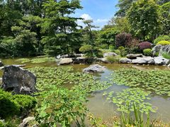 -东莞植物园