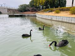 -江南大学(蠡湖校区)