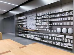 -Apple零售店(中街大悦城店)