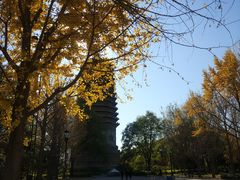 -玲珑塔公园