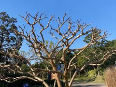 -黄兴公园