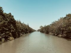 -上海海湾国家森林公园