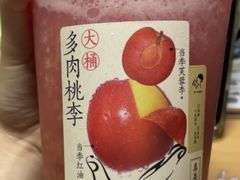 超大桶多肉桃李-喜茶(广州番禺奥园广场店)