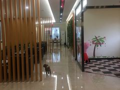 -博睿通达汽车修理站