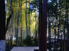 -天目湖山水园