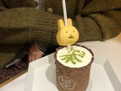 -茶是一枝花泡茶店