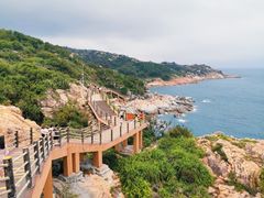 -广东惠东海龟国家级自然保护区