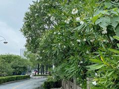 -渤公岛生态公园