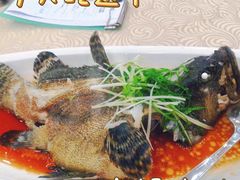 石斑鱼-湛江渔港·大排档(乐园路总店)