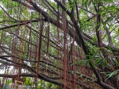 -台山颐和温泉城