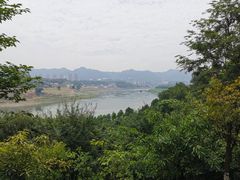 -金海湾滨江公园