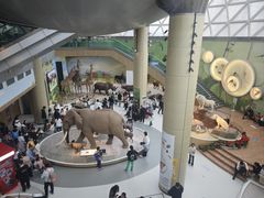 -陕西自然博物馆