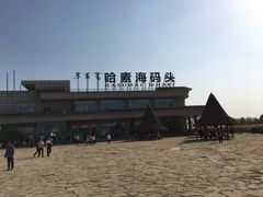 -哈素海