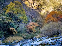 -叠溪松坪沟景区