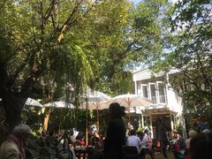 -Fern Forest Cafe