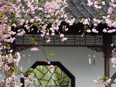 -莫愁湖公园