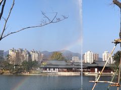 -江心屿景区