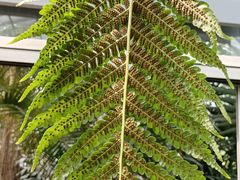 -国家植物园南园