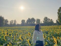 -汉长安城未央宫国家考古遗址公园