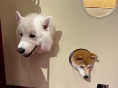 -和它·交个朋友·狗咖猫咖(爱琴海店)