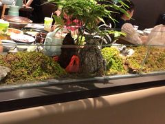 -山涧肴·湘味家肴(松岗满纷天地店)