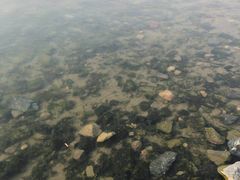 -丁香湖公园