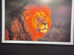 -罗红摄影艺术馆