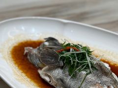 -頂好酒家·经典粤菜(海信广场店)