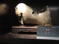 -中华赏石园