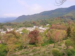 -塔川景区