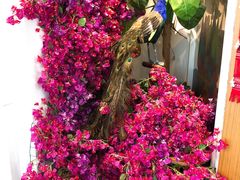 -觅山云南菜(泊富ICITY店)