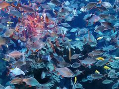 -成都浩海立方海洋公园