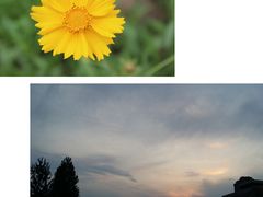 -辽宁大学(崇山校区)