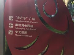 -海沧湾公园