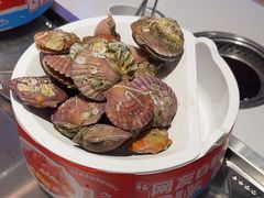 -龍歌自助小火锅(李沧顺和汇店)