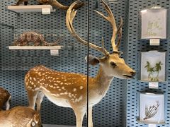 -浙江自然博物院(杭州馆)