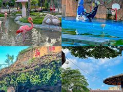 -灵玲国际马戏城