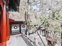 -香山公园