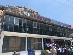 -崂山水果园农家宴(泉水鸡店)