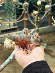 -Zoolung Zoolung动物主题公园(海信广场店)