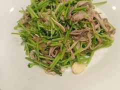 芫爆肚丝-东兴楼饭庄(六里桥店)