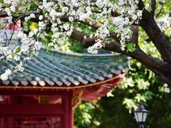 -中山公园