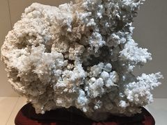 -安徽省地质博物馆