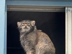 -青藏高原野生动物园