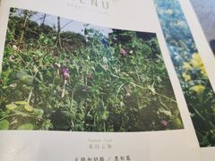 -半山腰·云南菜(侨福芳草地店)