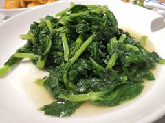 -席家花园(巨鹿花园店)