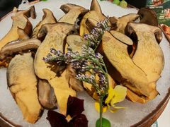 -芸山季·云南山珍菌火锅(南翔印象城MEGA店)