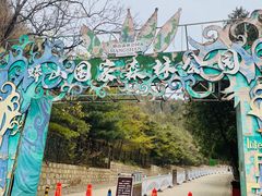 -北京十三陵国家森林公园蟒山景区