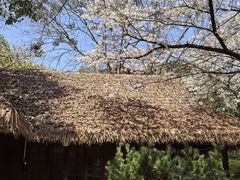 -中国茶叶博物馆(双峰馆区)